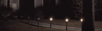 felipemedina  GIF