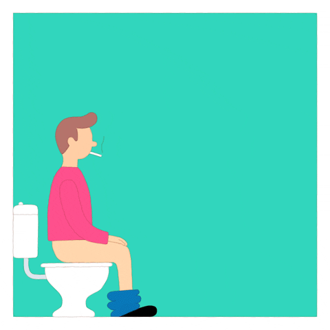 No Smoking Toilet GIF by Julian Frost