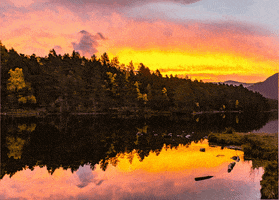 christucker-0af6 sunrise scotland lochan cairngorms GIF