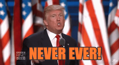 Never ever ever GIFs - Get the best GIF on GIPHY