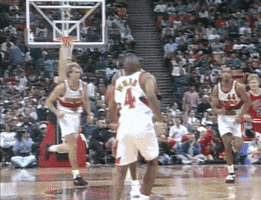 chicago bulls behind the back GIF