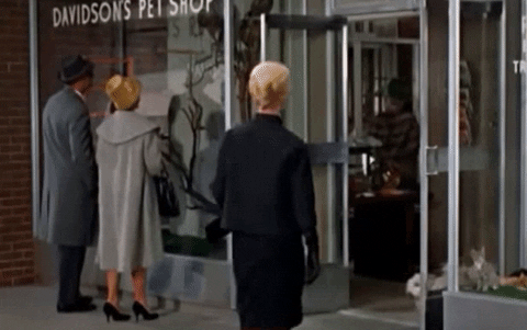  film alfred hitchcock director the birds cameo GIF