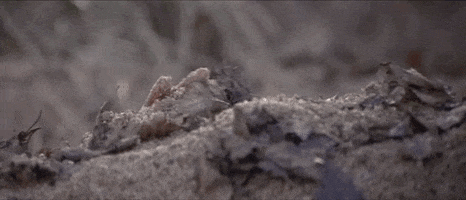 200.gif?cid=fc005b08926419285c4eb16a2aa03c8e45f096f35dcfaa14&rid=200.gif&ct=g