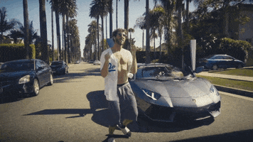 Los Angeles Dodgers GIF by Lil Dicky