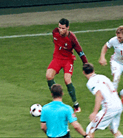 Euro 2016 Soccer GIF