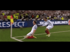 mechanic football euro 2016 GIF