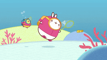 200.gif?cid=fc005b08d5099d33933ce5d3010278a88983e1f24a86b14c&rid=200.gif&ct=g