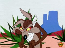bored wile e coyote GIF by Looney Tunes