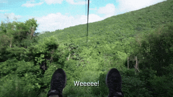 explore bucket list GIF by Celebrity Cruises Gifs