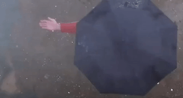 king of comedy xi ju zhi wang GIF