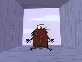 angry beavers nicksplat GIF