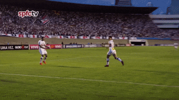 spfc GIF by São Paulo FC