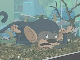 200.gif?cid=fc005b08b9f7406ff530ca2f92ff94b5c48b9742032a7efd&rid=200.gif&ct=g