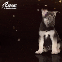 Happy New Year Gifs Get The Best Gif On Giphy Happy New Year Gifs Get The Best Gif On Giphy