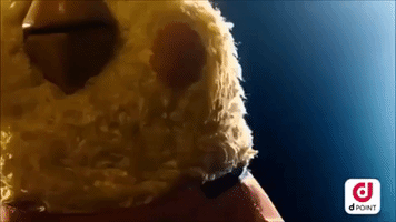 Japan Birds GIF