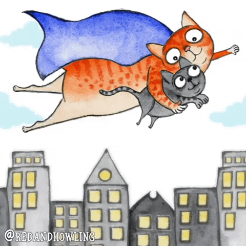 cat flying GIF by Red & Howling
