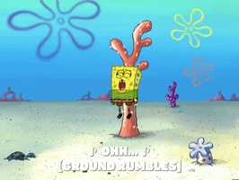 season 6 porous pockets GIF by SpongeBob SquarePants