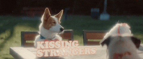 kissing strangers GIF by DNCE