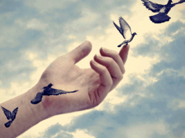 juliefortin merdeka debt free swissindo m1 voucher GIF