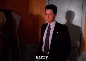 season 2 good question GIF by Twin Peaks on Showtime
