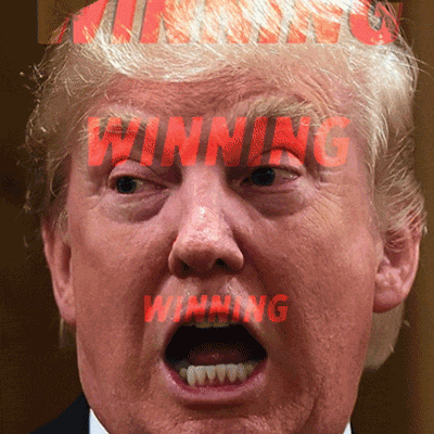 trump winning GIF by weinventyou