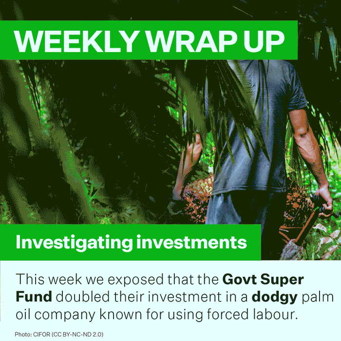 nzgreenparty politics children climate change new zealand GIF