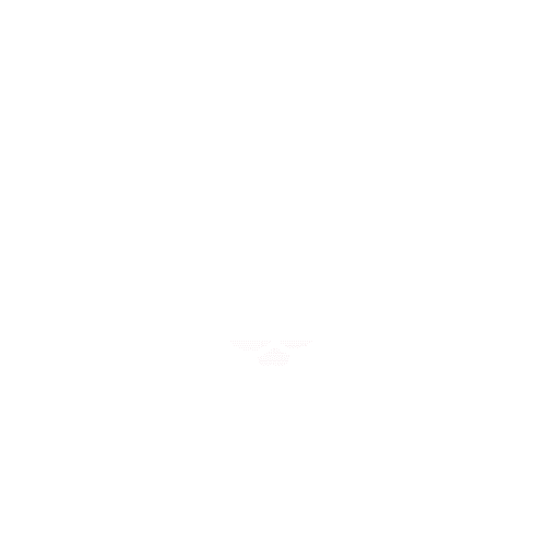 celestinmeunier  Sticker