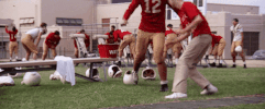 samichesterfield  GIF