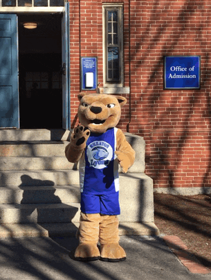 mascot celebrate GIF by Wheaton College (MA)