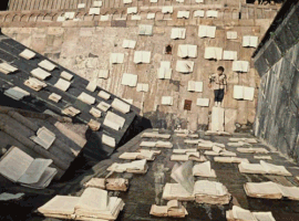 tinelavent the-color-of-pomegranates film cinema books reading book wind pomegranates GIF