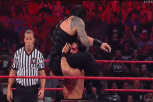 matthewpack  GIF