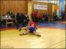 FoggyHedgehog  GIF