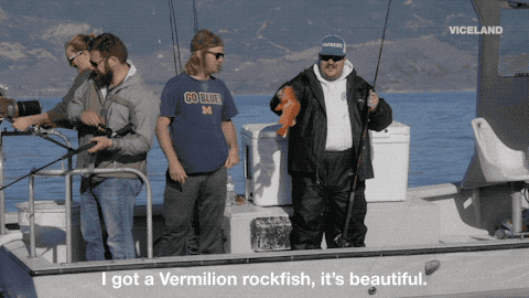 Vermilion GIFs - Get the best GIF on GIPHY