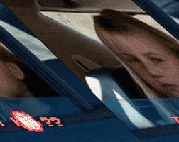 cinnabar  GIF