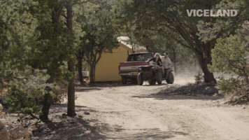 pjdn  GIF