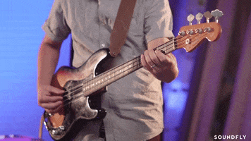 funk bass GIF by Soundfly