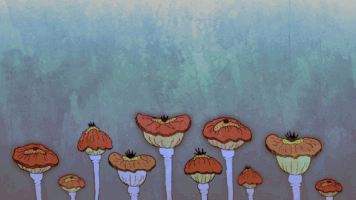 flowers 2d animation GIF by Amanda Bonaiuto