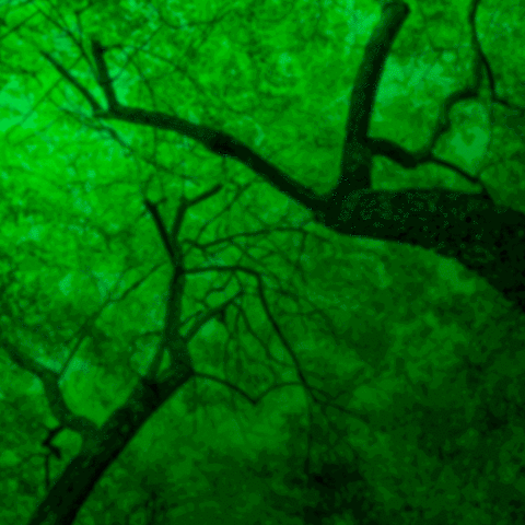 ambiente-y-sociedad  GIF