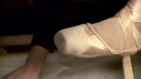 Pointe Shoe  GIFs  Get the best GIF  on GIPHY