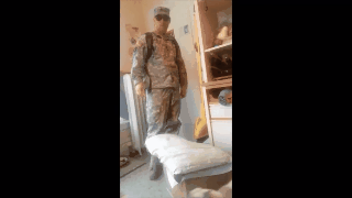 catmanian cats who are warmingly welcomming their humans GIF