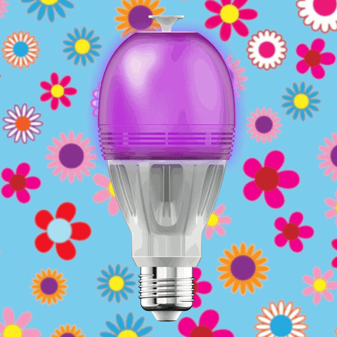 Connected Lighting Ampoule Connectã©E GIF by AwoX