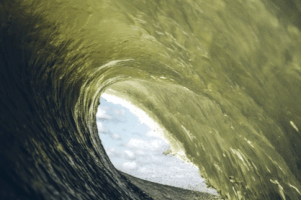 surf surfing GIF by Evan Hilton