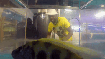200.gif?cid=fc005b084b7de65c7afb6e7da7ae81e59951402bda9f0065&rid=200.gif&ct=g