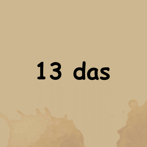 crapappella crapappella countdown GIF