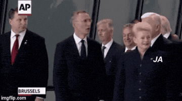 carisabogovski trump GIF