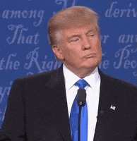 Donald Trump GIF by reactionseditor