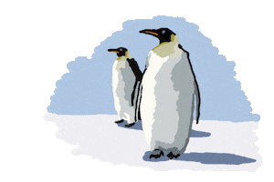 Pingouin Sticker by Marc Lariviere