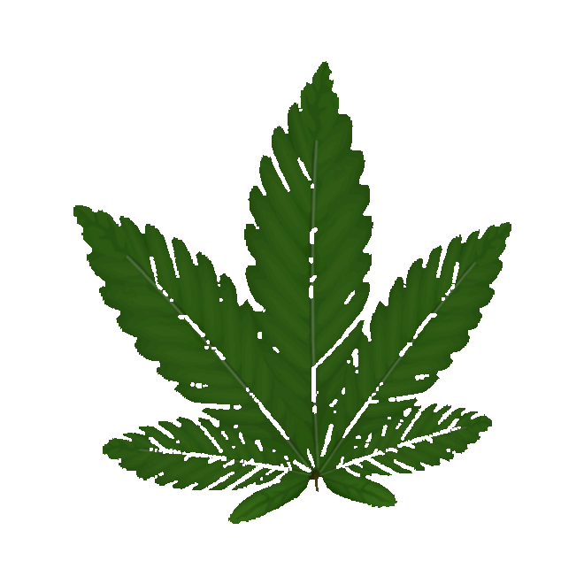 Festival Pot Sticker by imoji for iOS & Android GIPHY