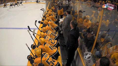 Stanley Cup Playoffs Hockey GIF by NHL - Find & Share on GIPHY