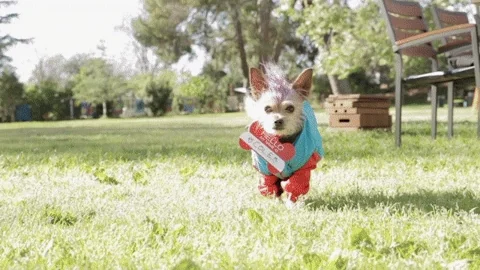 nicki minaj dog GIF by DNCE